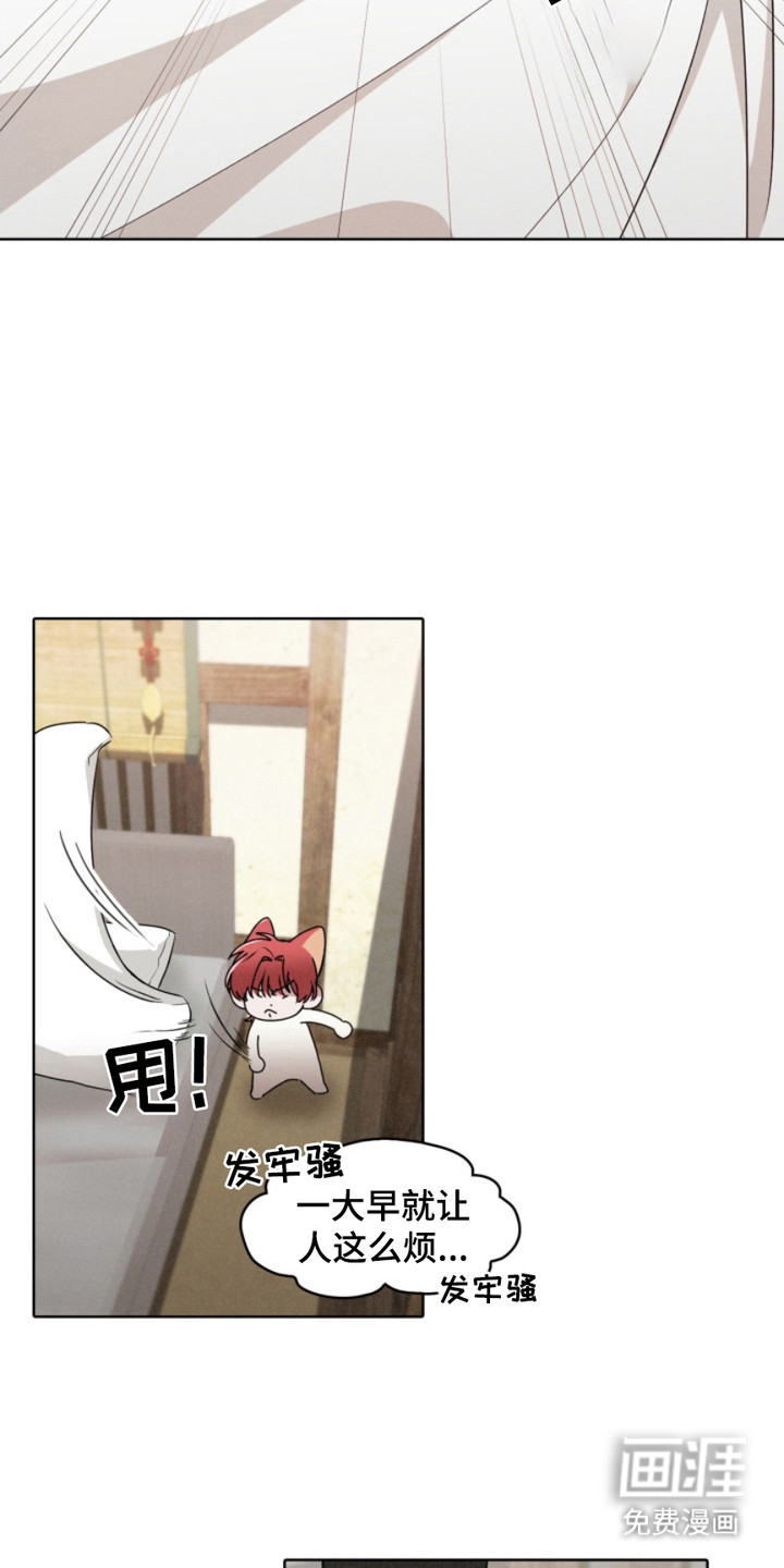 猎狐行动 第23话 第11页