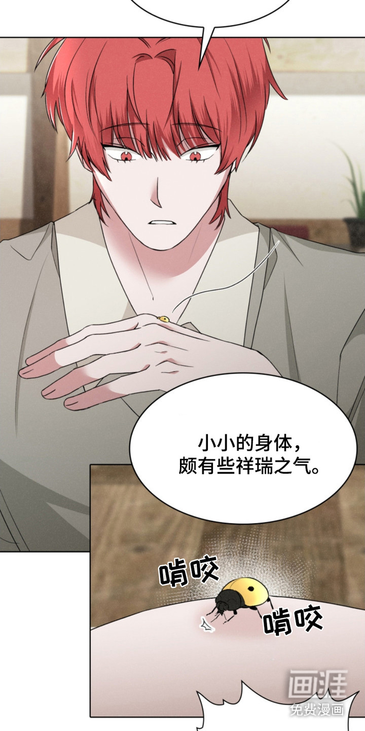 猎狐行动 第24话 第7页