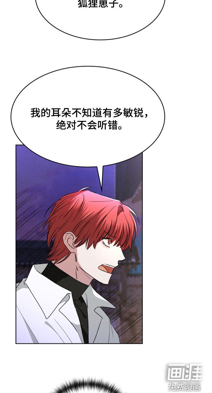 猎狐行动 第30话 第21页