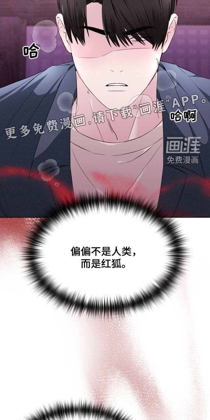 猎狐行动 第31话 第3页