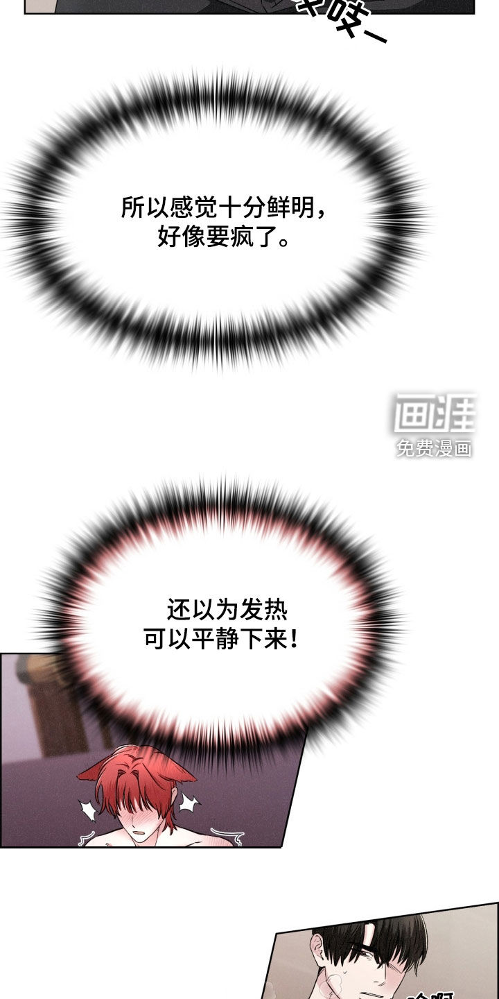 猎狐行动 第31话 第15页