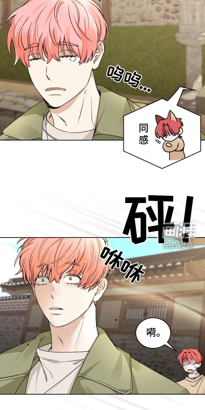 猎狐行动 第33话 第12页