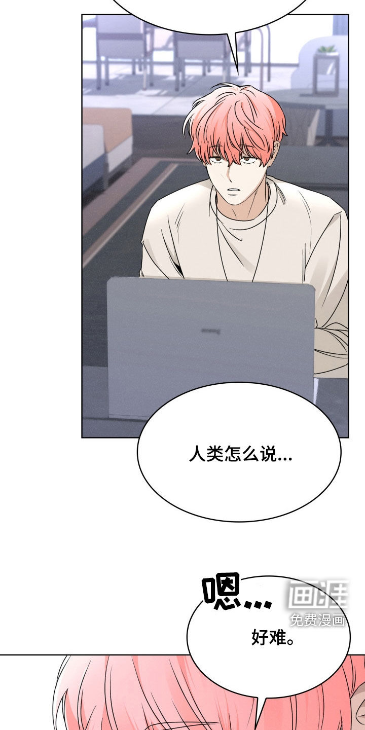 猎狐行动 第33话 第22页