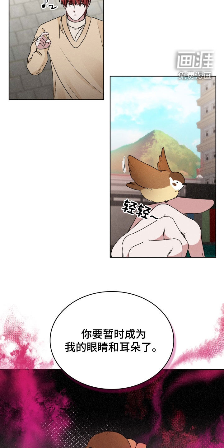 猎狐行动 第37话 第16页