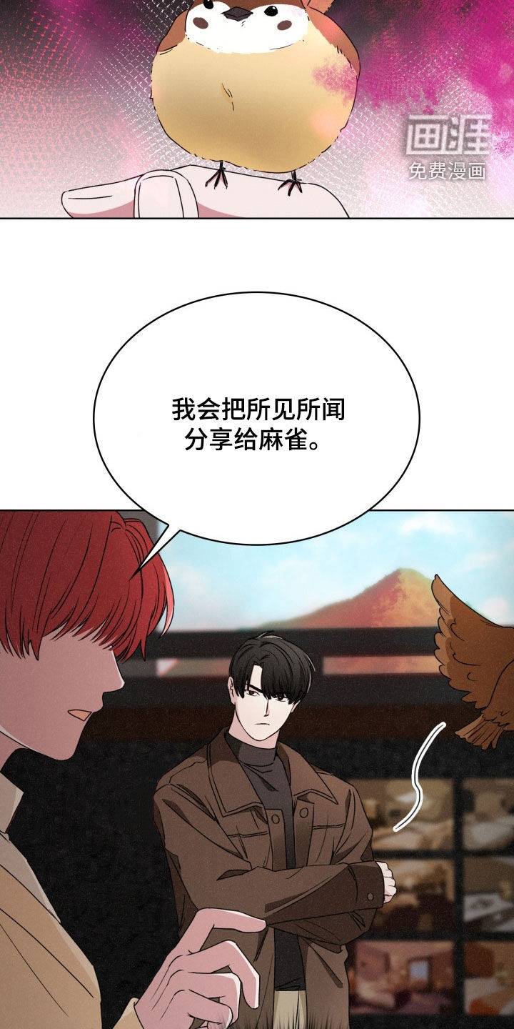 猎狐行动 第37话 第17页