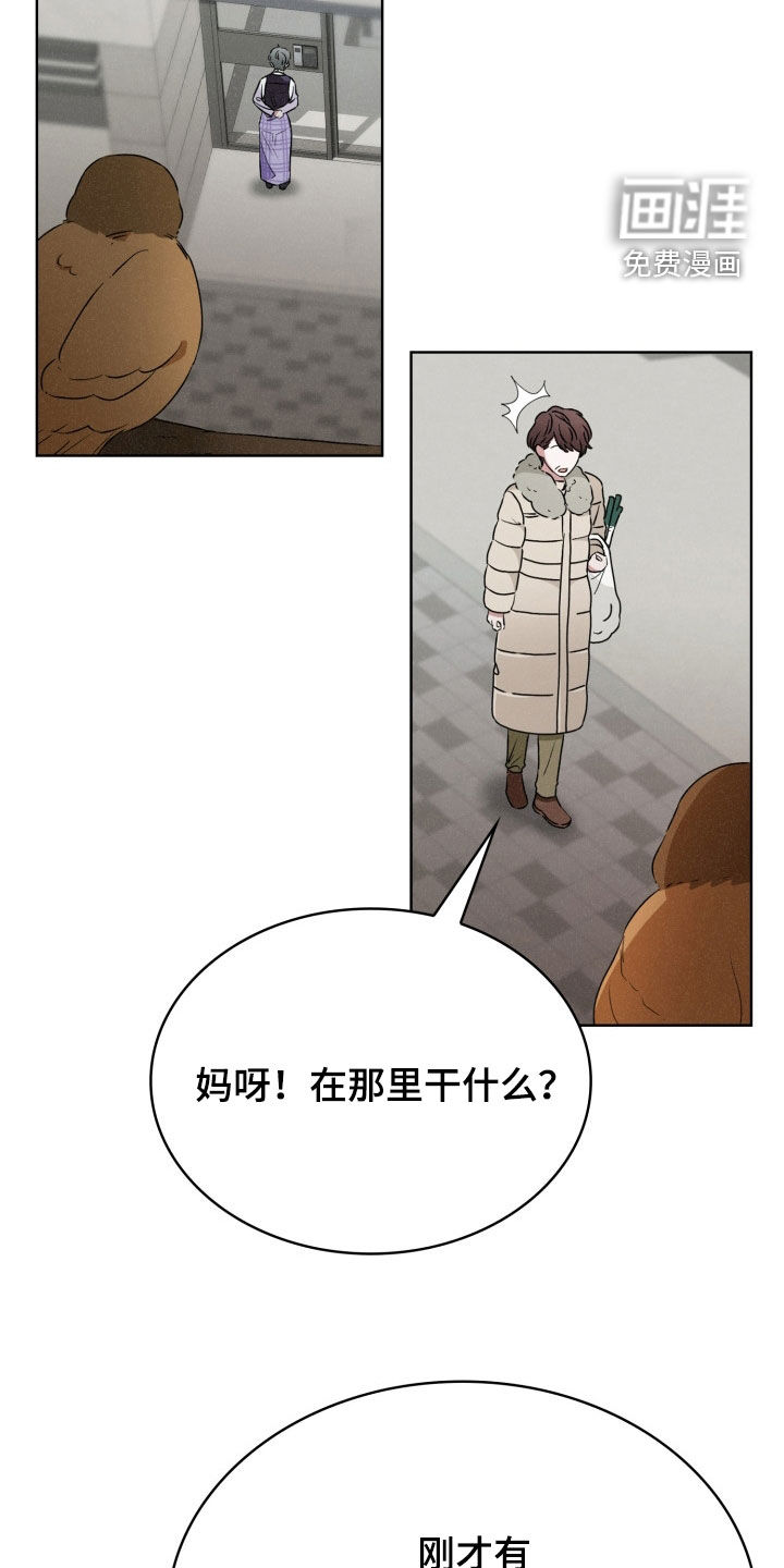 猎狐行动 第37话 第19页