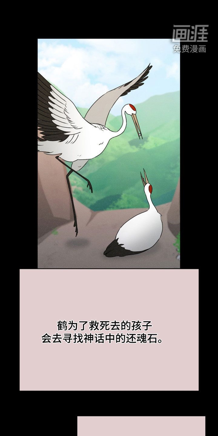 猎狐行动 第38话 第10页