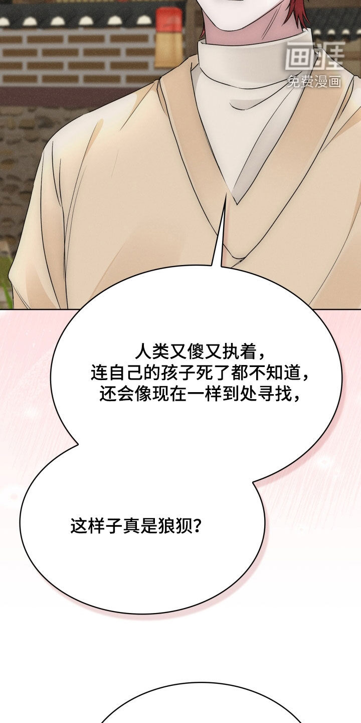 猎狐行动 第38话 第17页