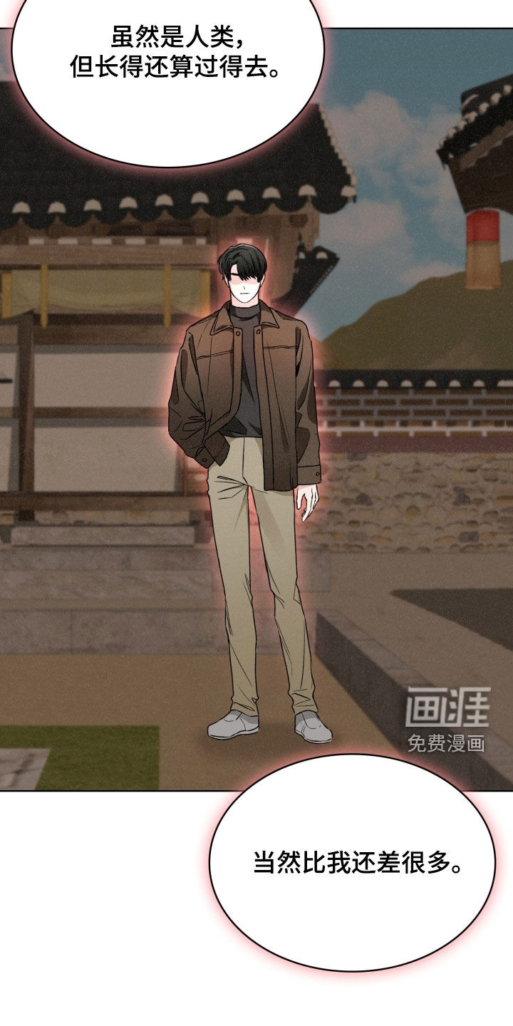 猎狐行动 第39话 第11页