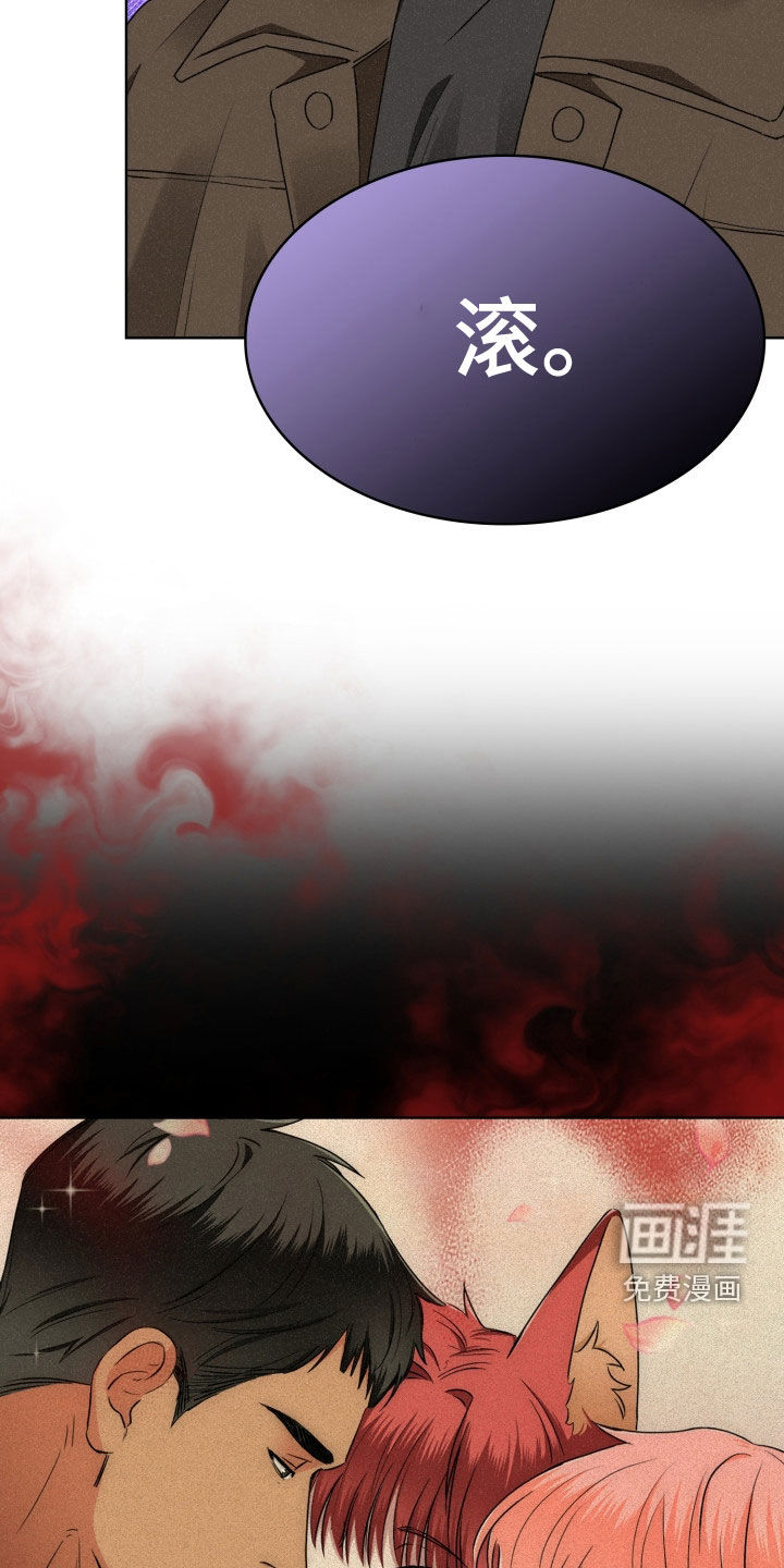 猎狐行动 第39话 第17页