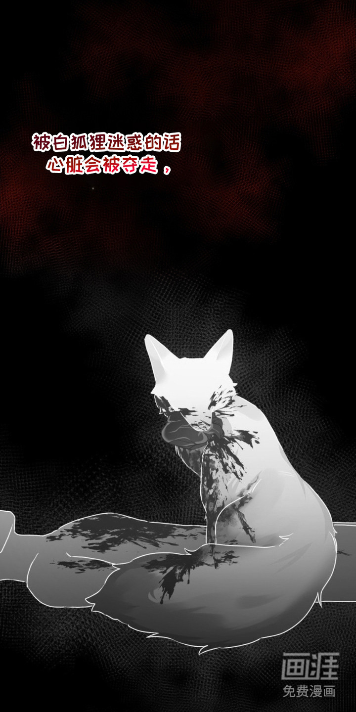 猎狐行动 第4话 第23页