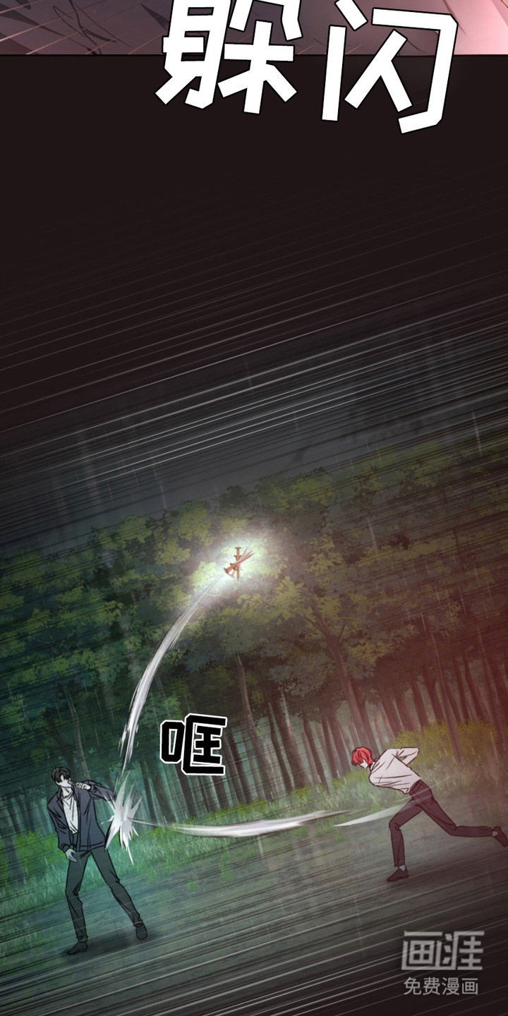 猎狐行动 第8话 第5页