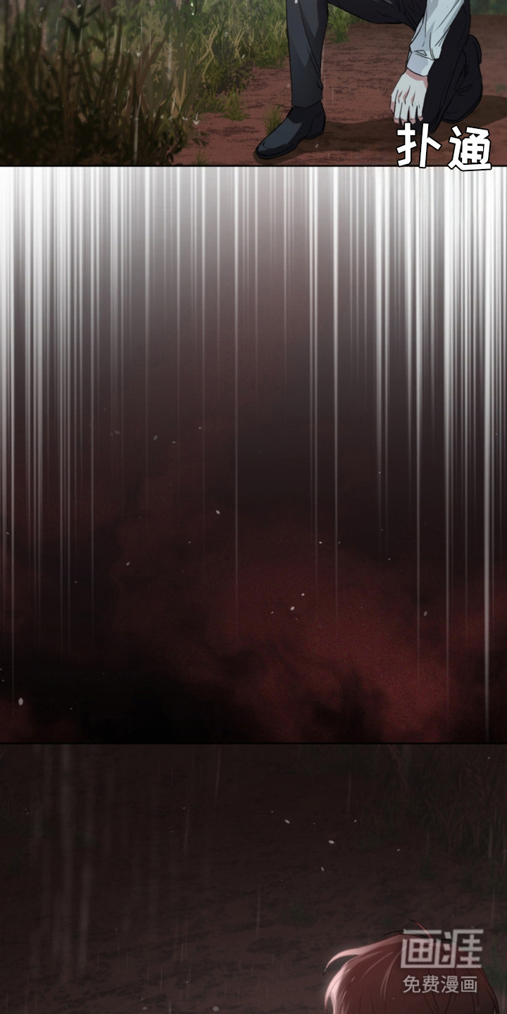 猎狐行动 第8话 第11页