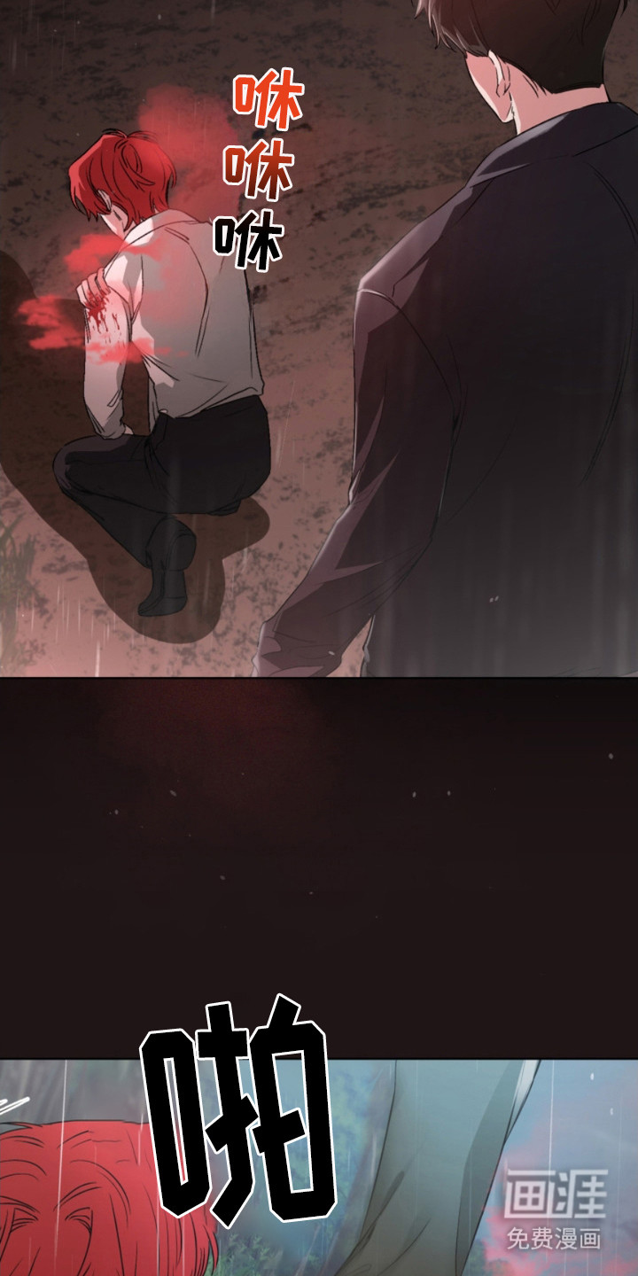 猎狐行动 第8话 第12页