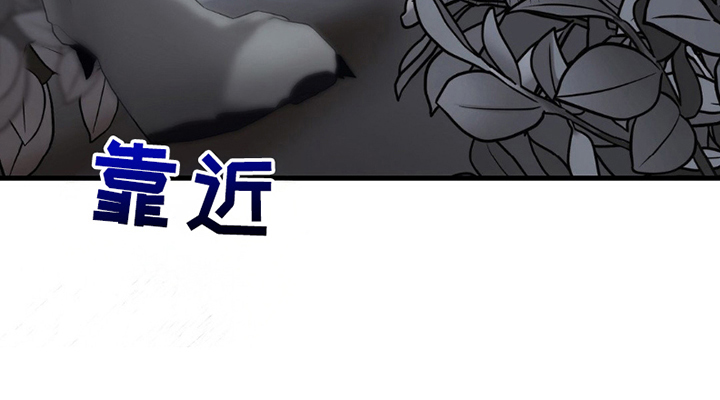 狼的陷阱第6话图