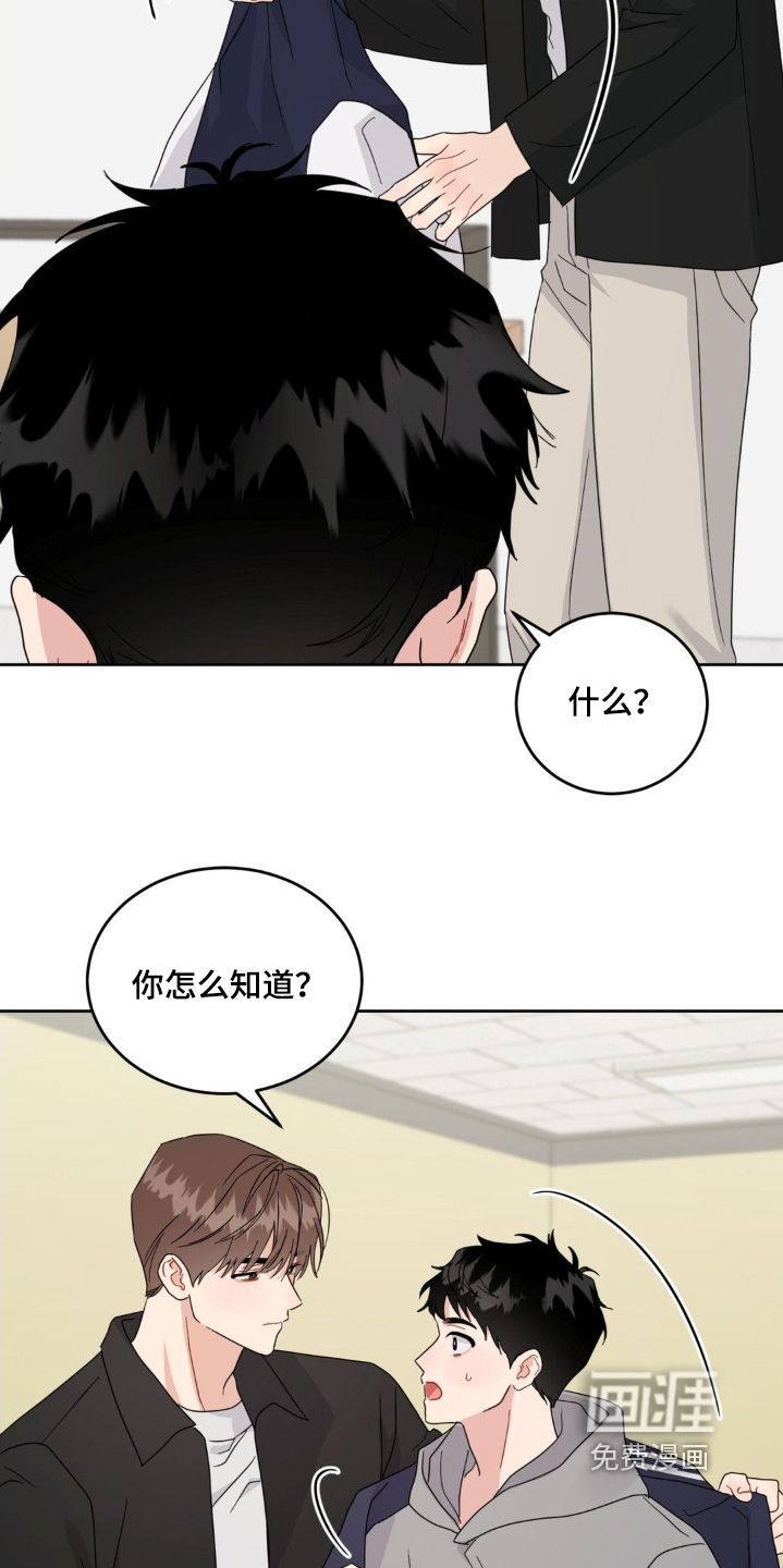 恋爱攻略手册漫画-图12