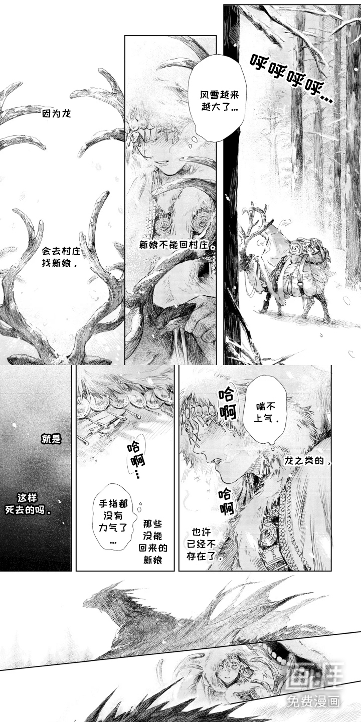 龙的新娘子第2话图