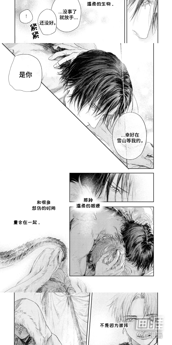 龙的新娘子第20话图