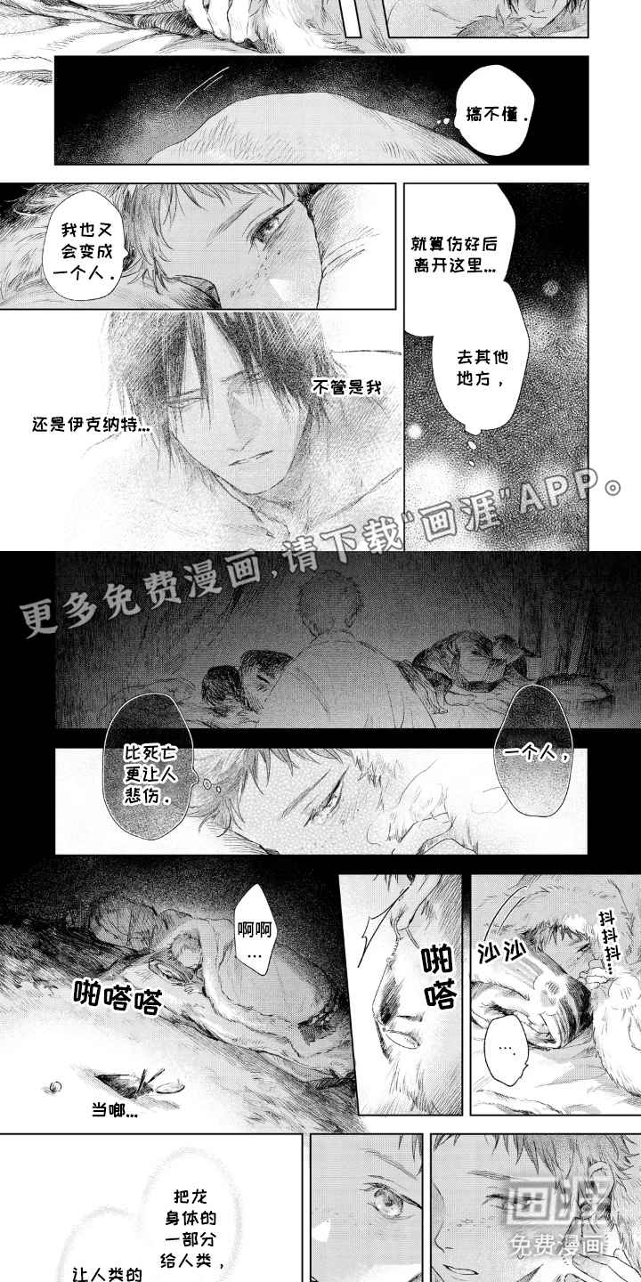 龙的新娘子第6话图