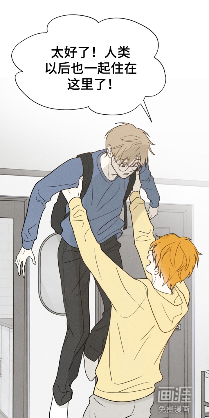 灵物室友第10话图