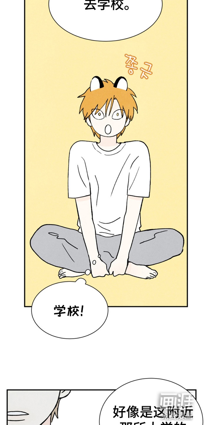 灵物室友第12话图