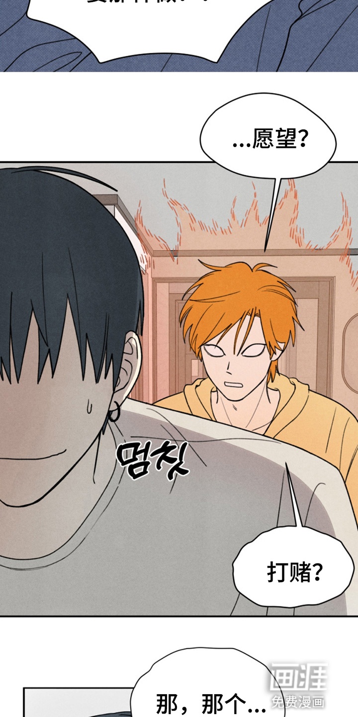 灵物室友第4话图