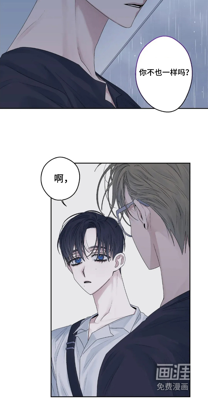 邻夏物语第25话图