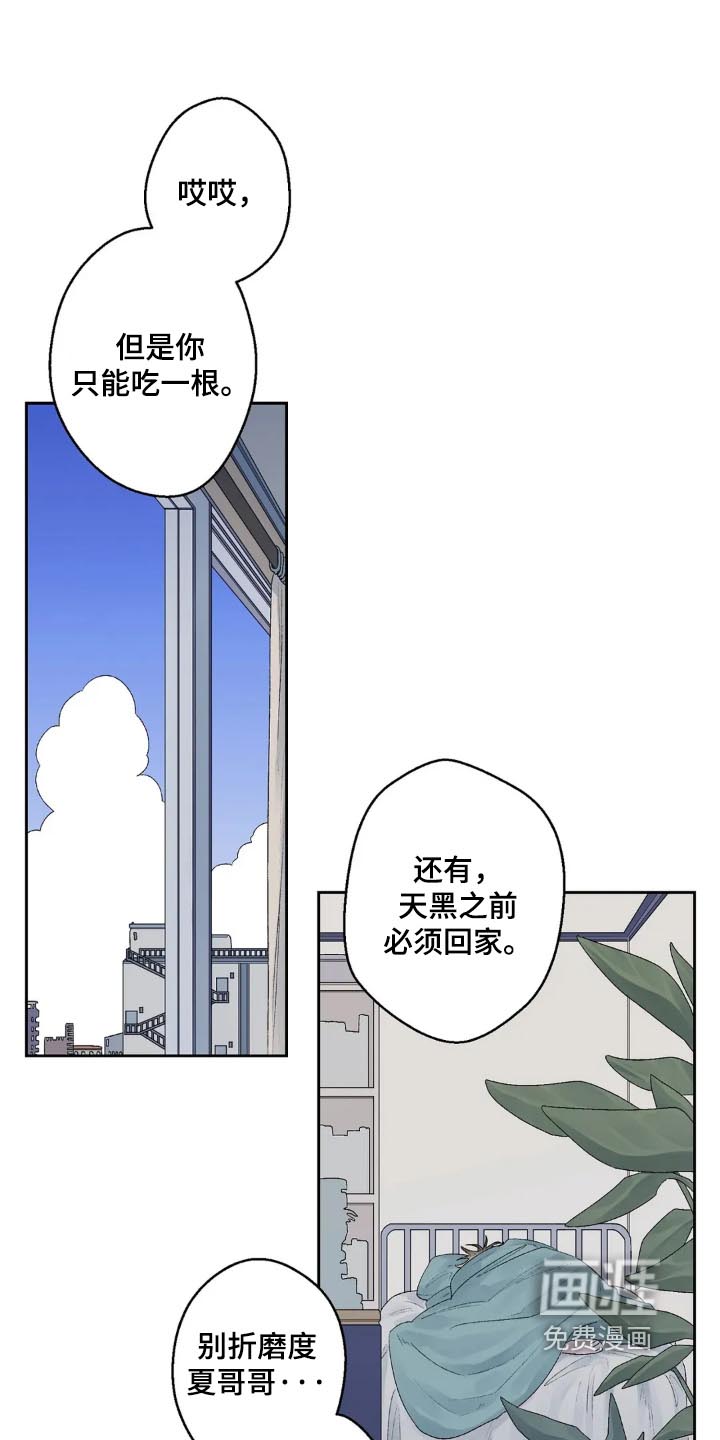 邻夏物语第27话图