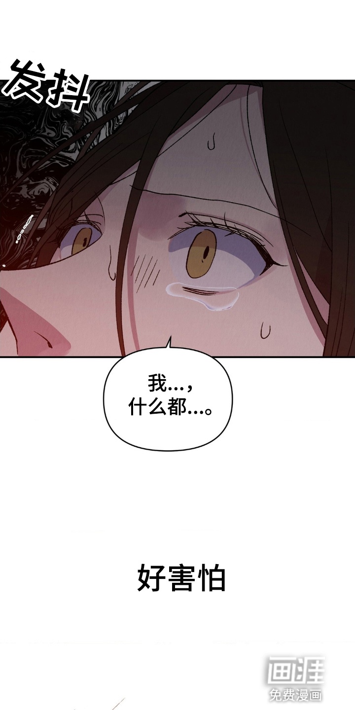 烙印之笼第11话图