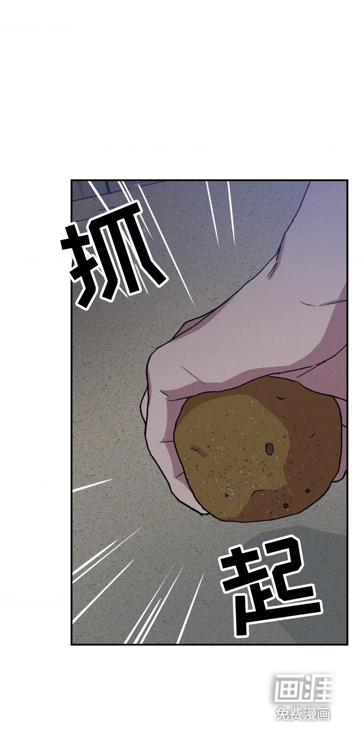 烙印之笼 第12话 第34页