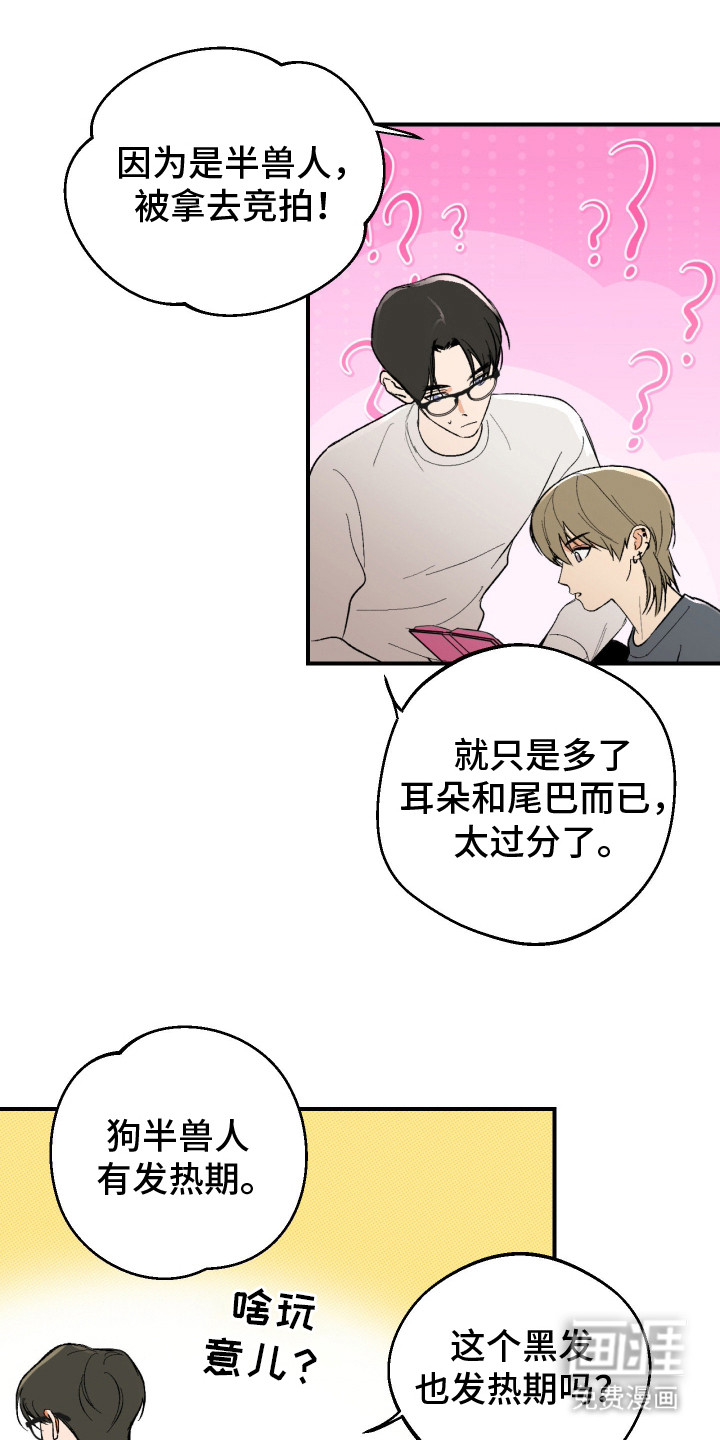 灵异同居法则漫画-图4