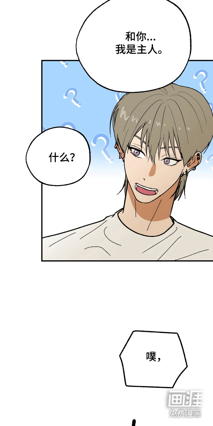 灵异同居法则漫画-图17