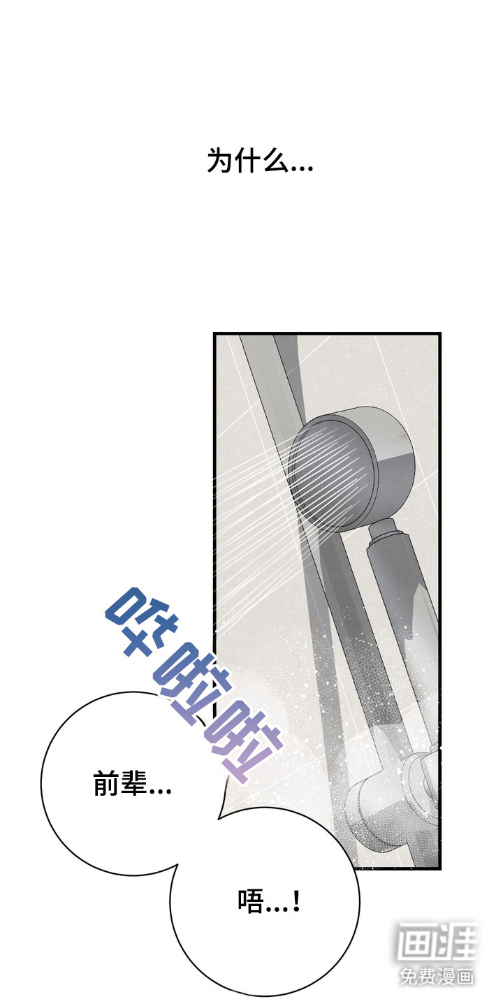 邋遢犬与洁癖猫第1话图