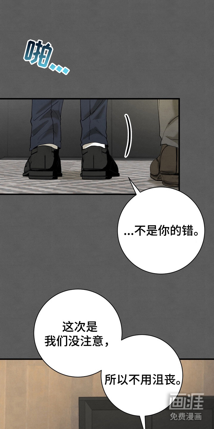 邋遢犬与洁癖猫第10话图