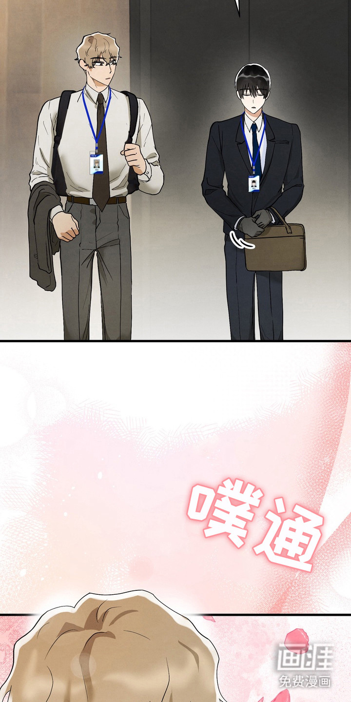 邋遢犬与洁癖猫第10话图