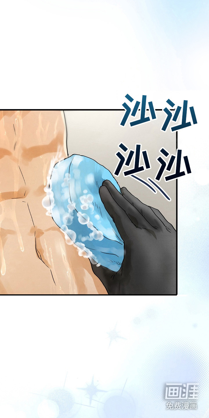 邋遢犬与洁癖猫第11话图