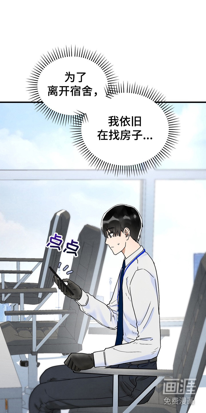 邋遢犬与洁癖猫第12话图