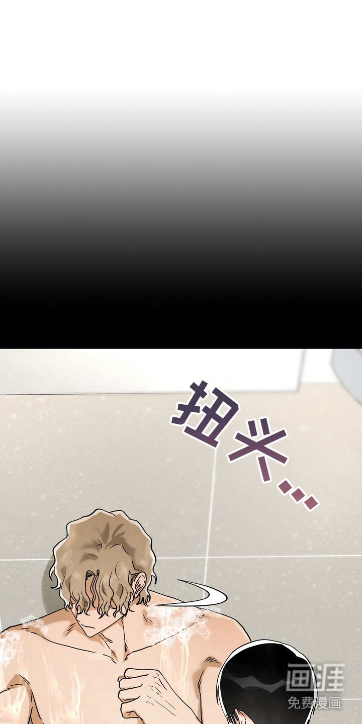 邋遢犬与洁癖猫第13话图