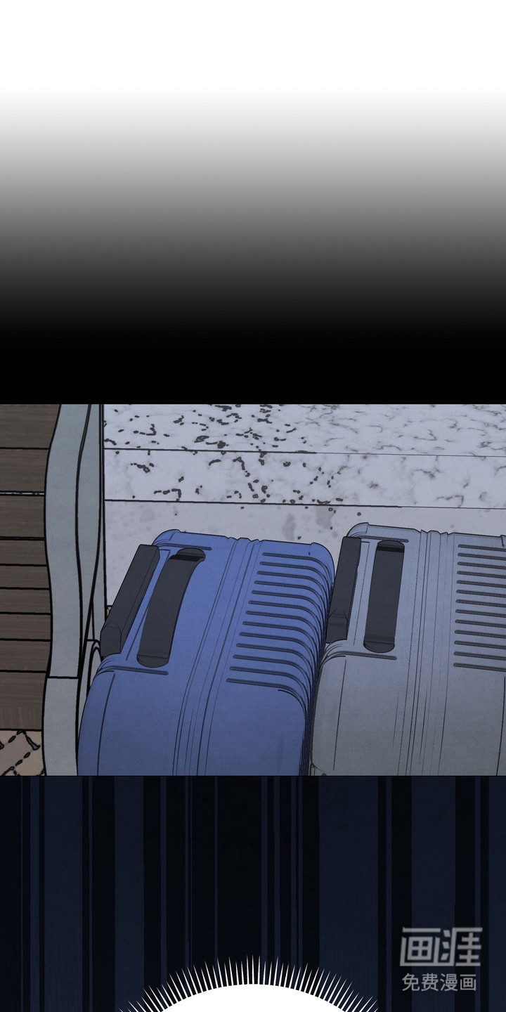 邋遢犬与洁癖猫第2话图