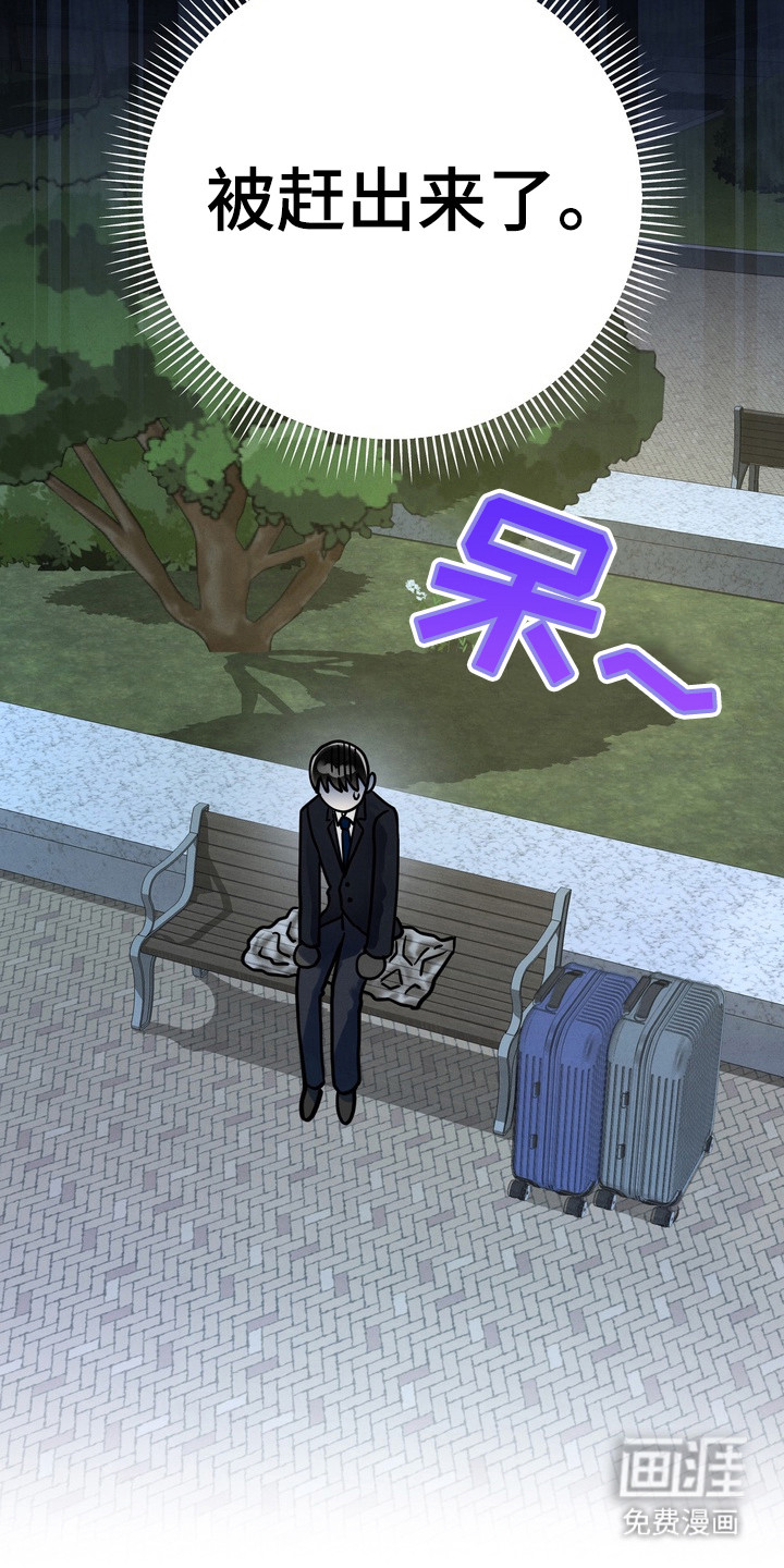 邋遢犬与洁癖猫第2话图