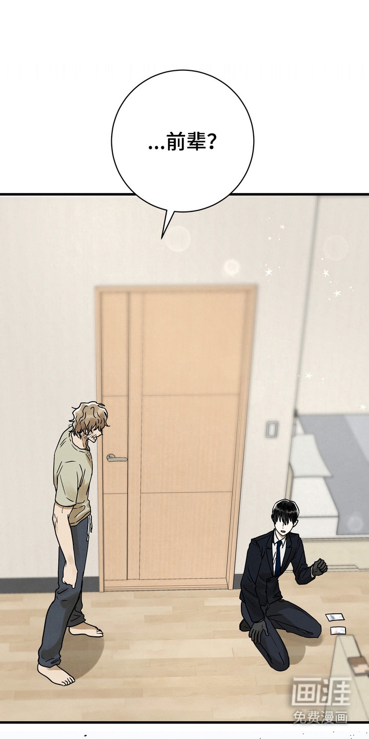 邋遢犬与洁癖猫第4话图