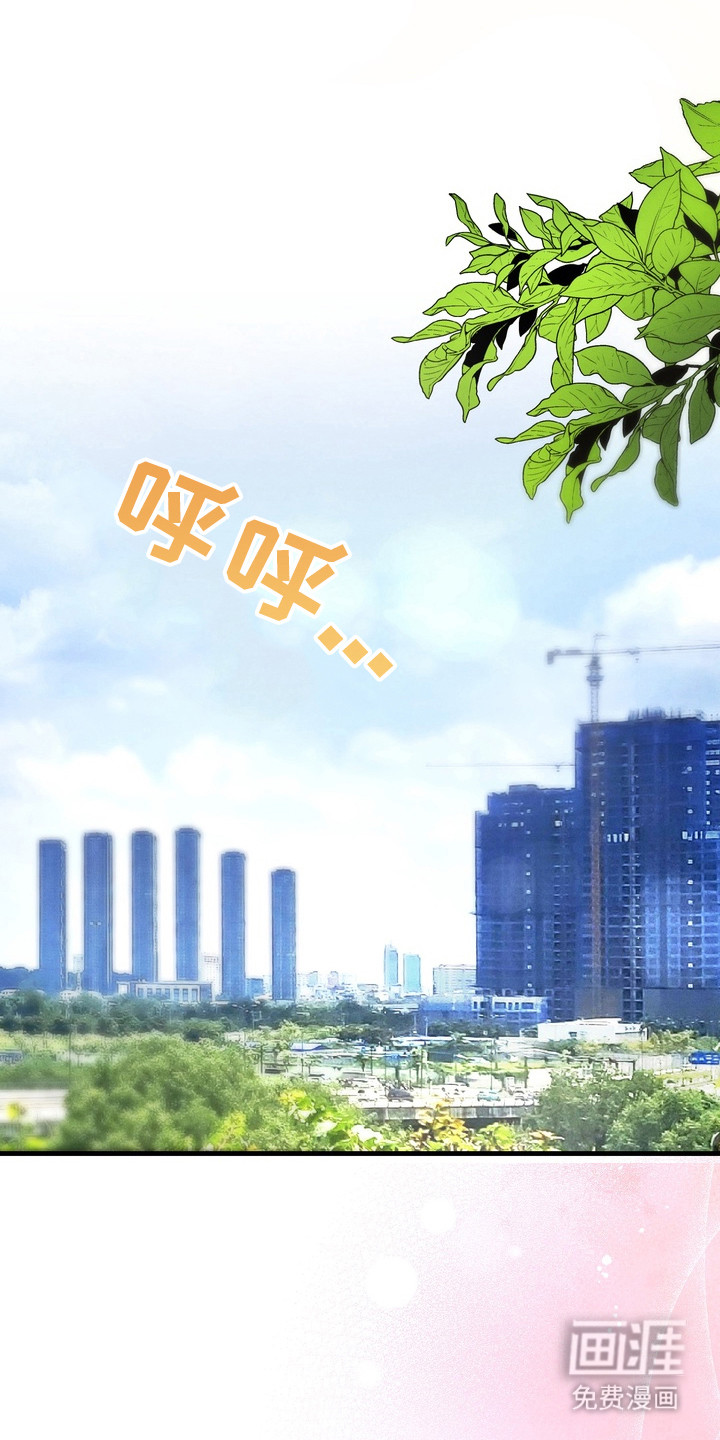 邋遢犬与洁癖猫第9话图