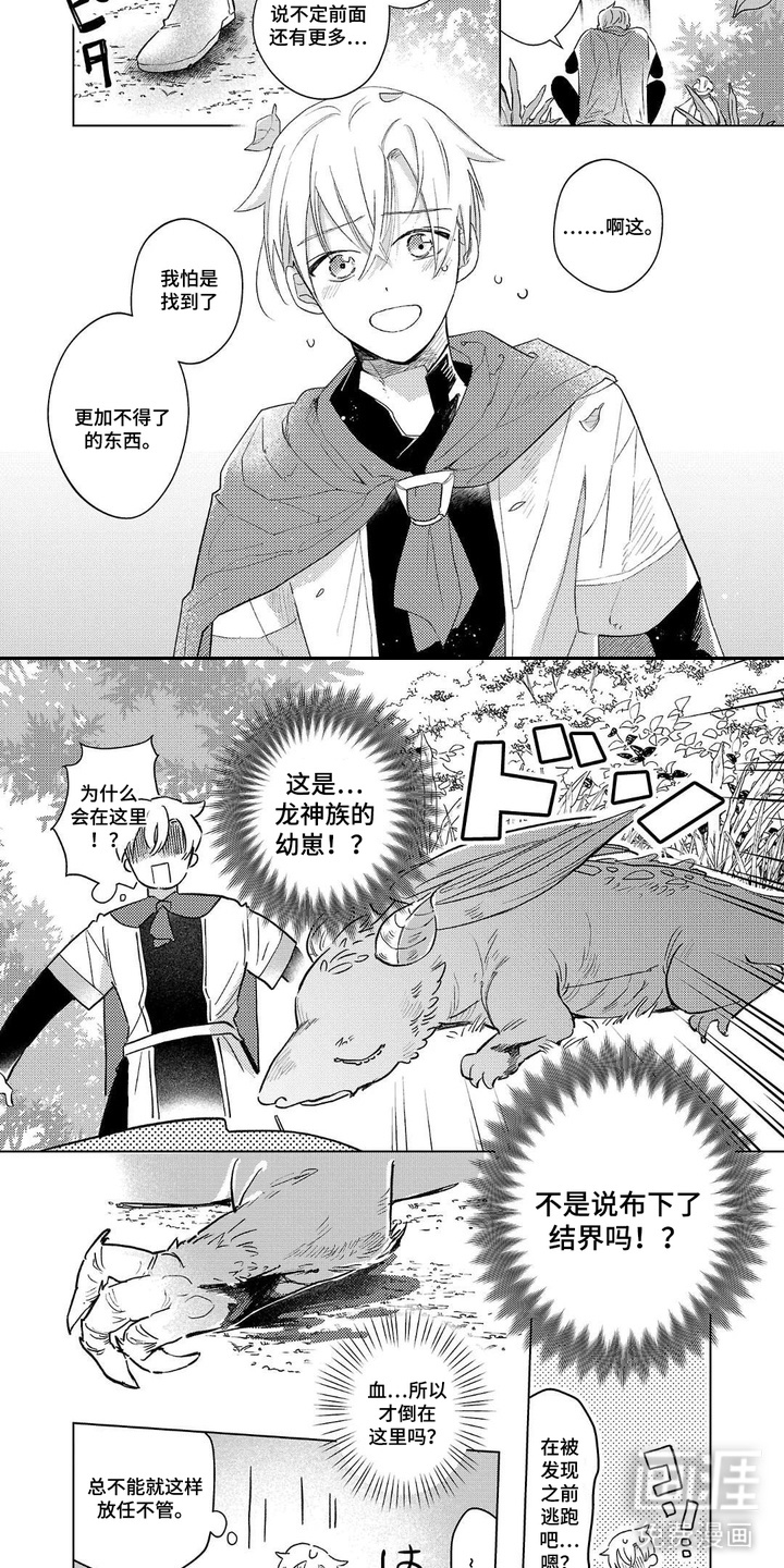 龙瞳所映之影第1话图