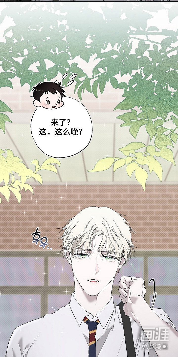 恋爱偏差值漫画-图6