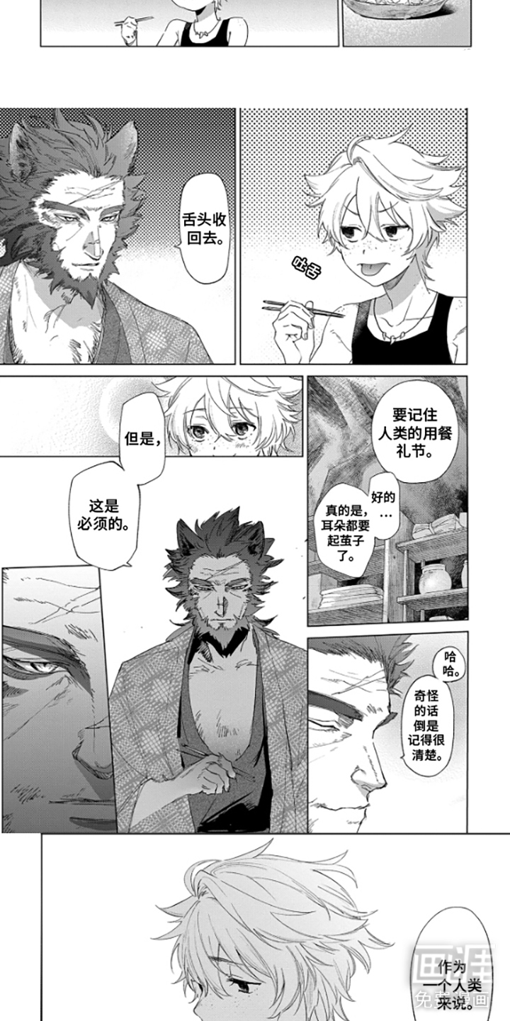 狼群中的少年漫画-图7