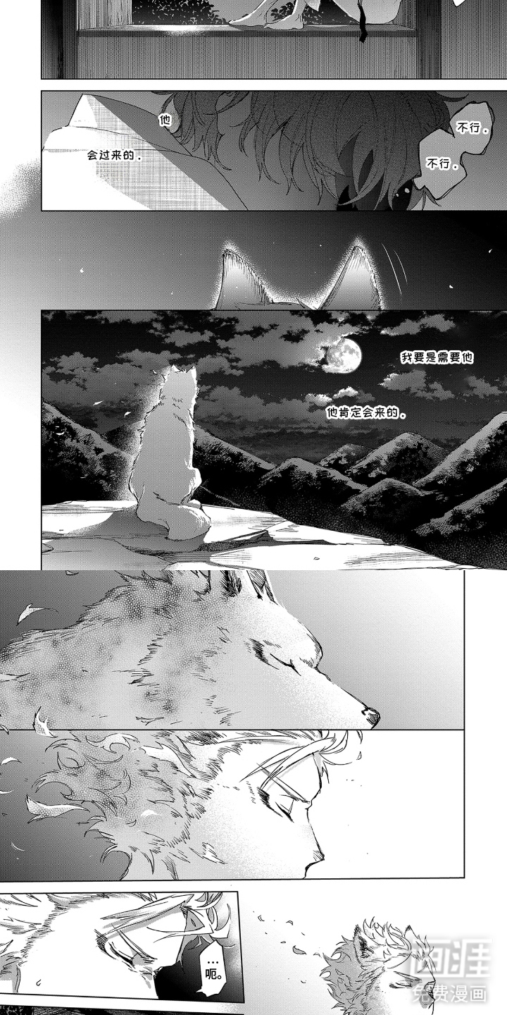 狼群中的少年漫画-图5