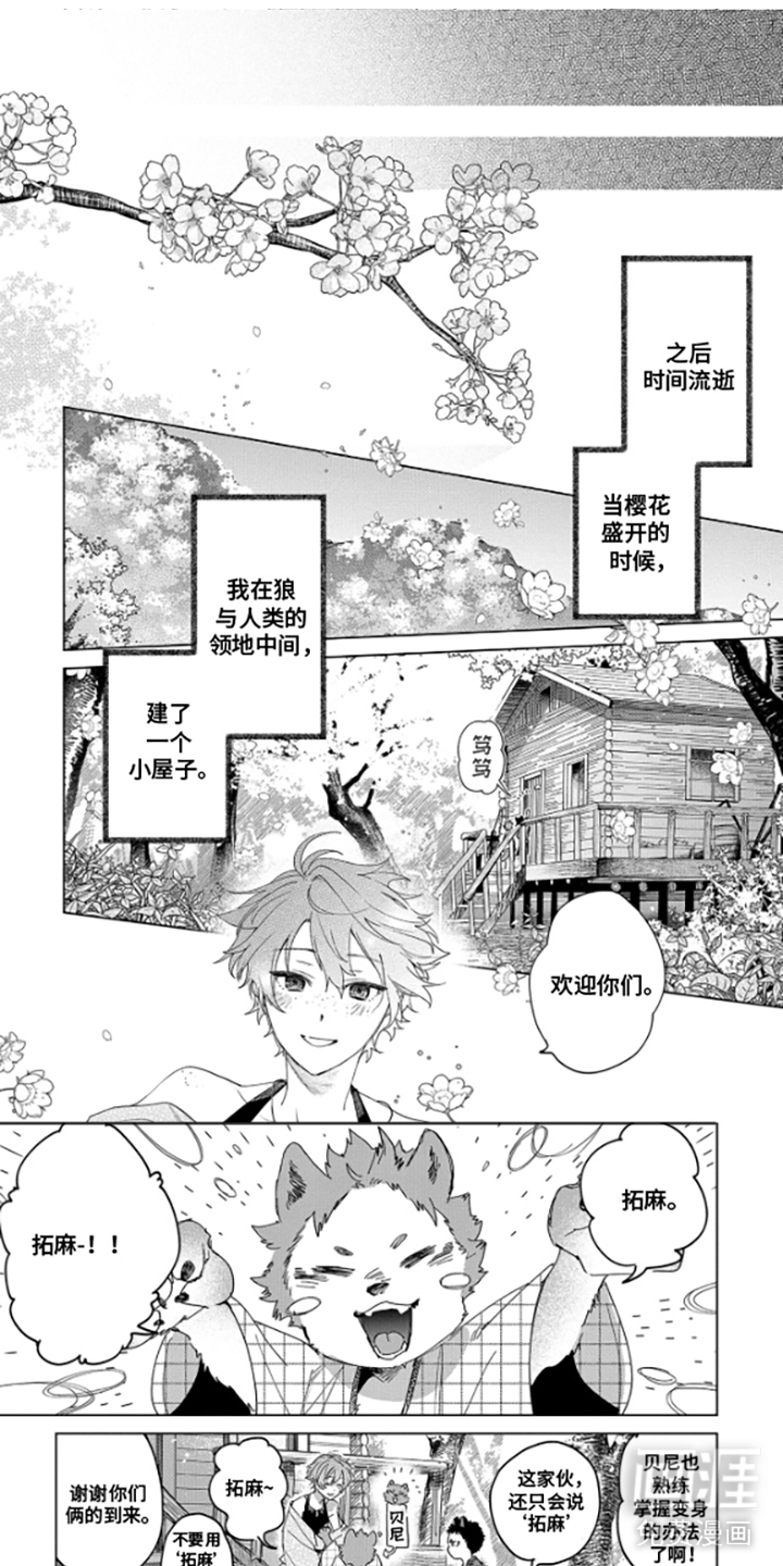 狼群中的少年第15话第1页