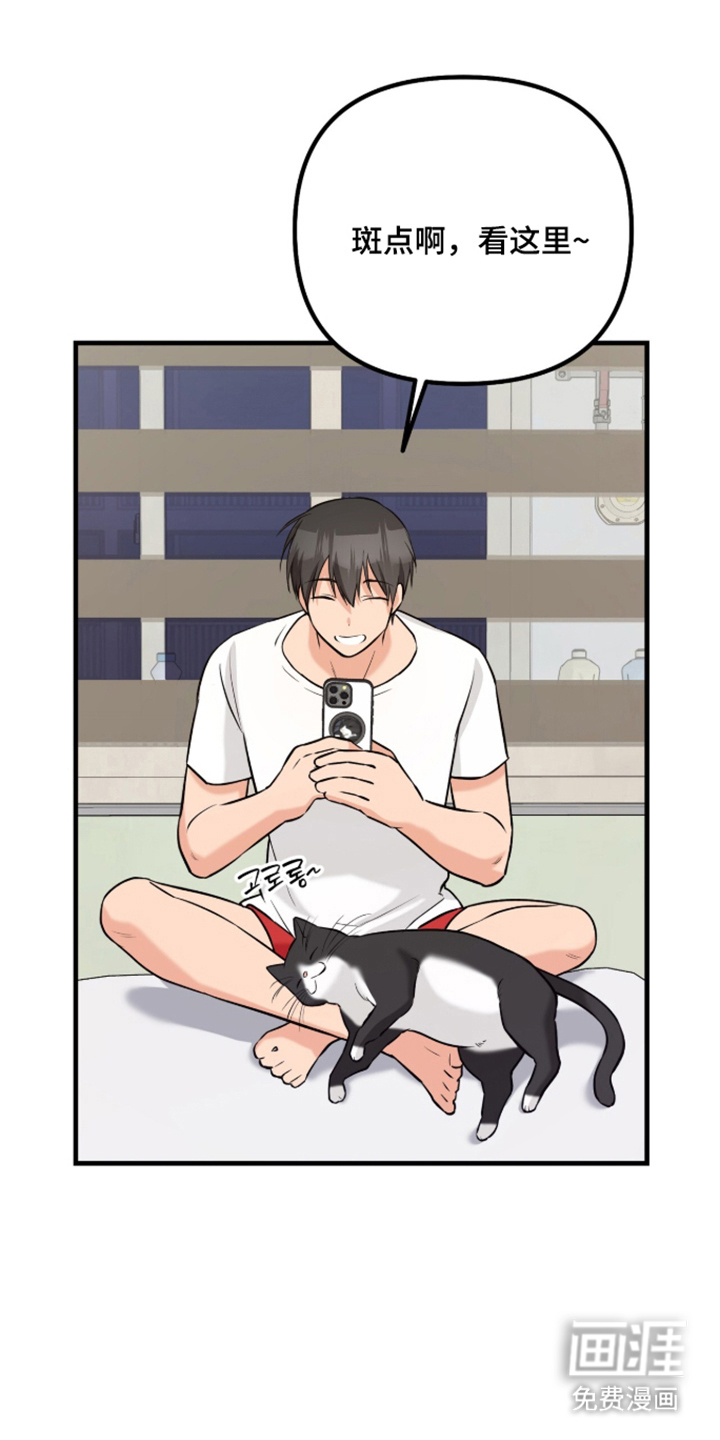 辣椒的受难日漫画-图5