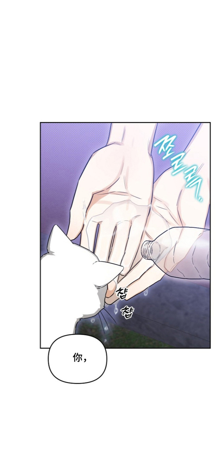 恋爱脑大作战漫画-图8