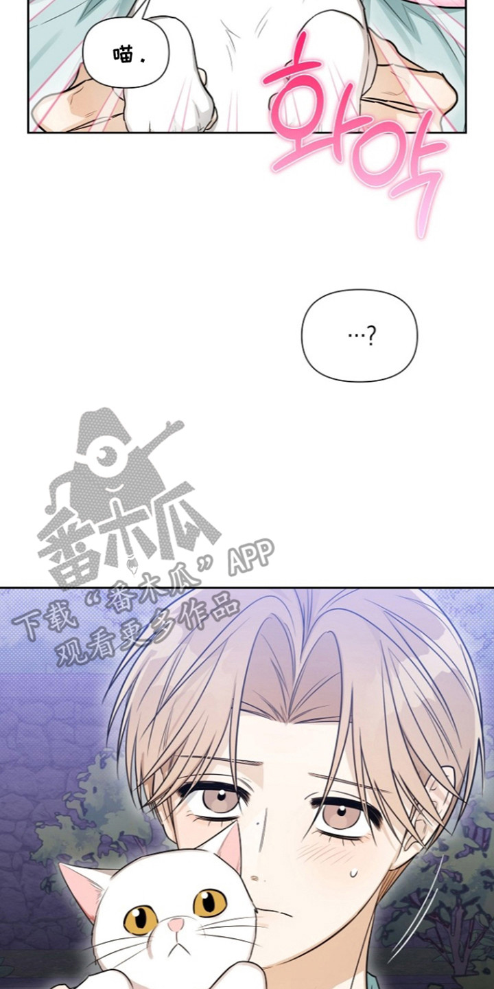 恋爱脑大作战漫画-图17